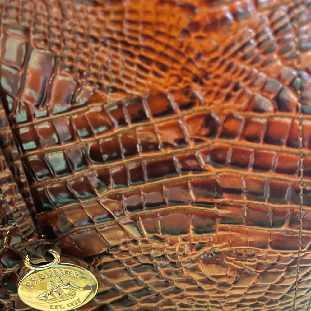 Brahmin Carry All - Picture 3 of 6
